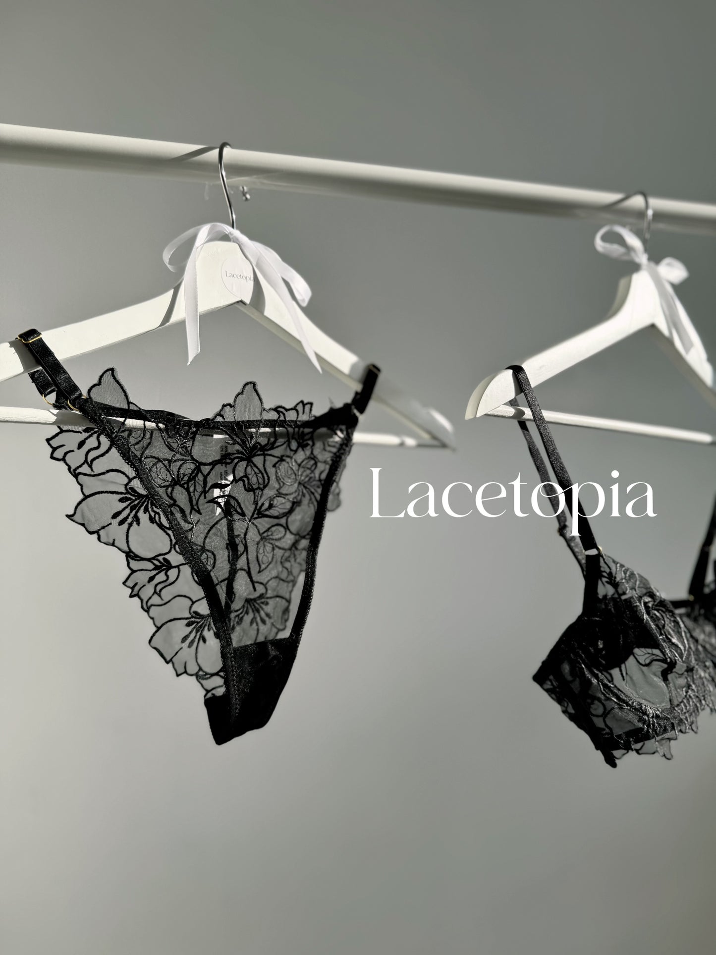 Secret Reveal Lingerie Set