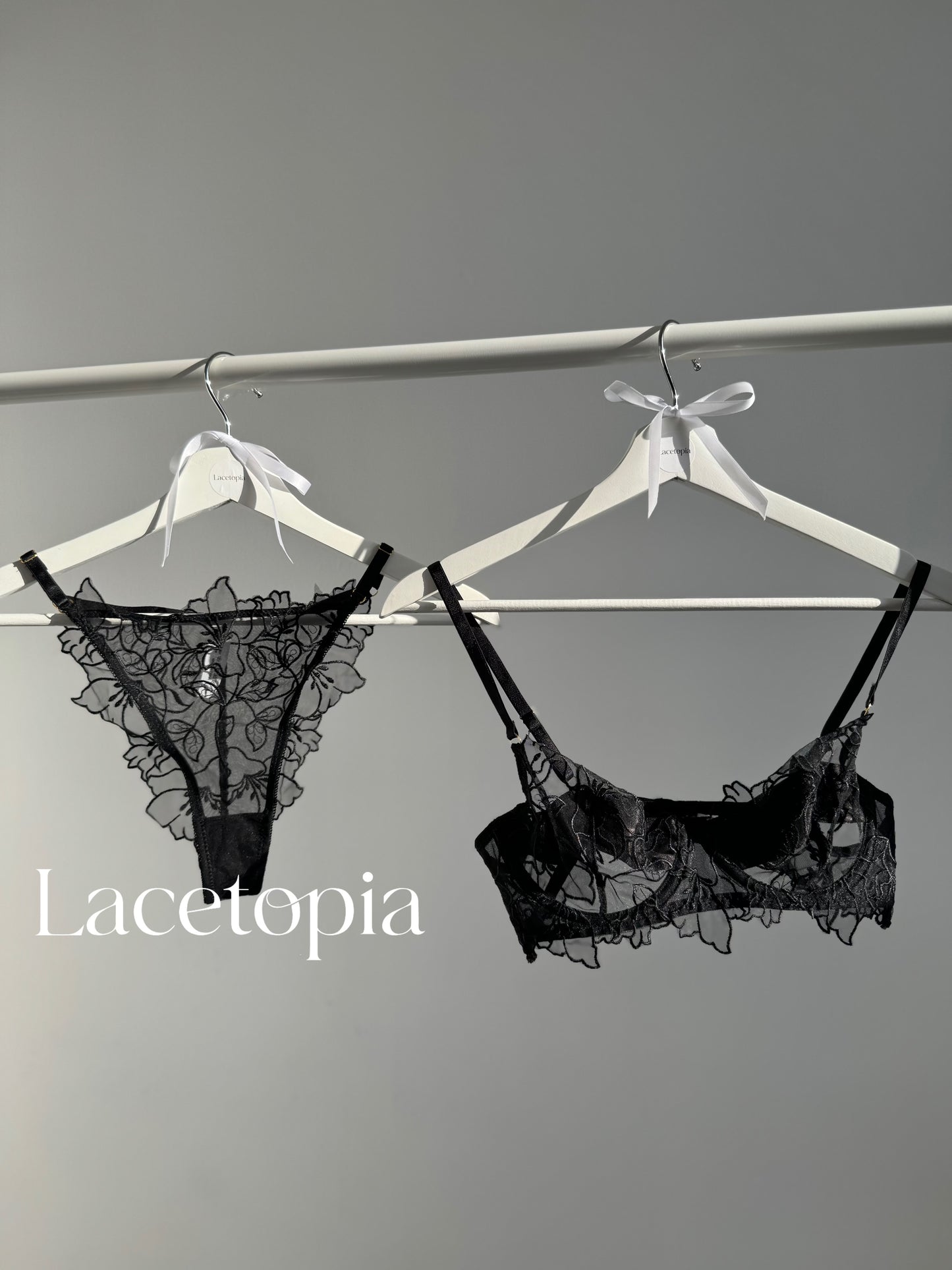 Secret Reveal Lingerie Set