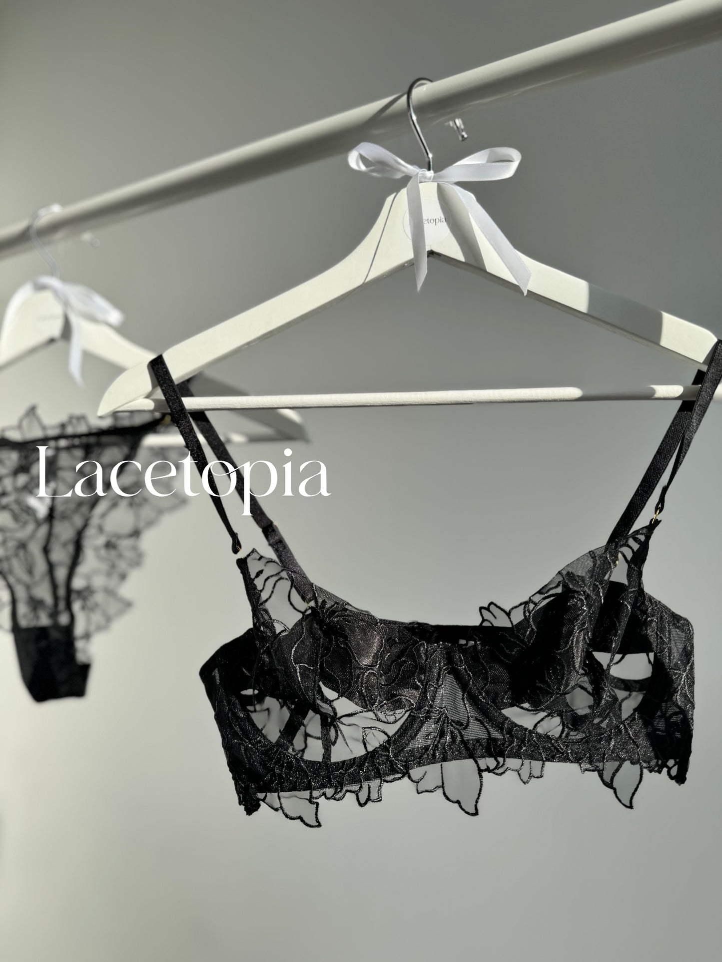 Secret Reveal Lingerie Set